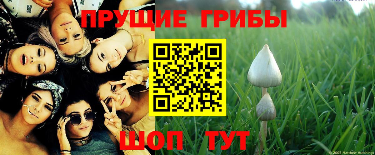 где купить   Псилоцибиновые грибы мицелий  Вход с VPN  Богородск 